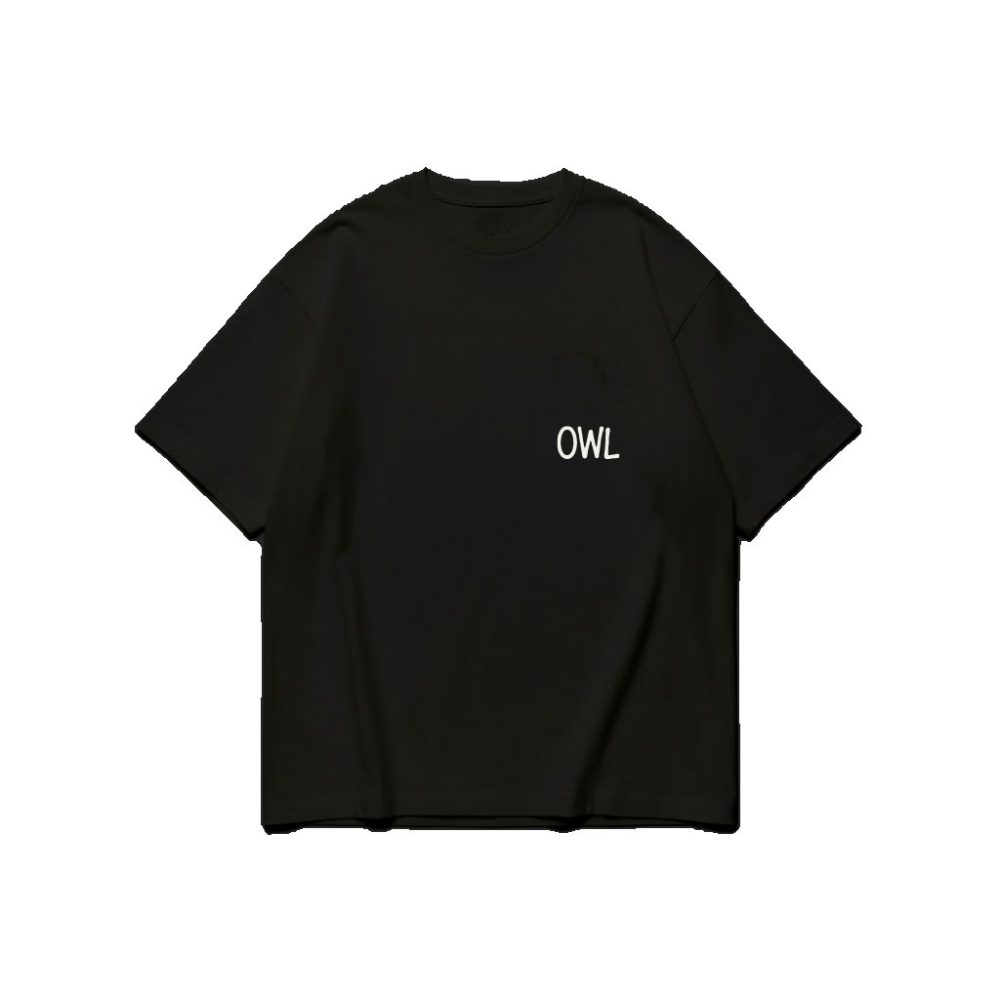 Alternative view of LATE NIGHT OWL