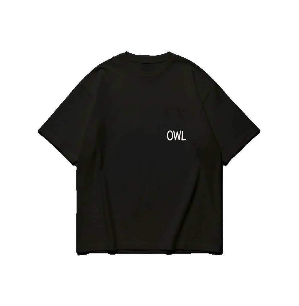 Alternative view of LATE NIGHT OWL